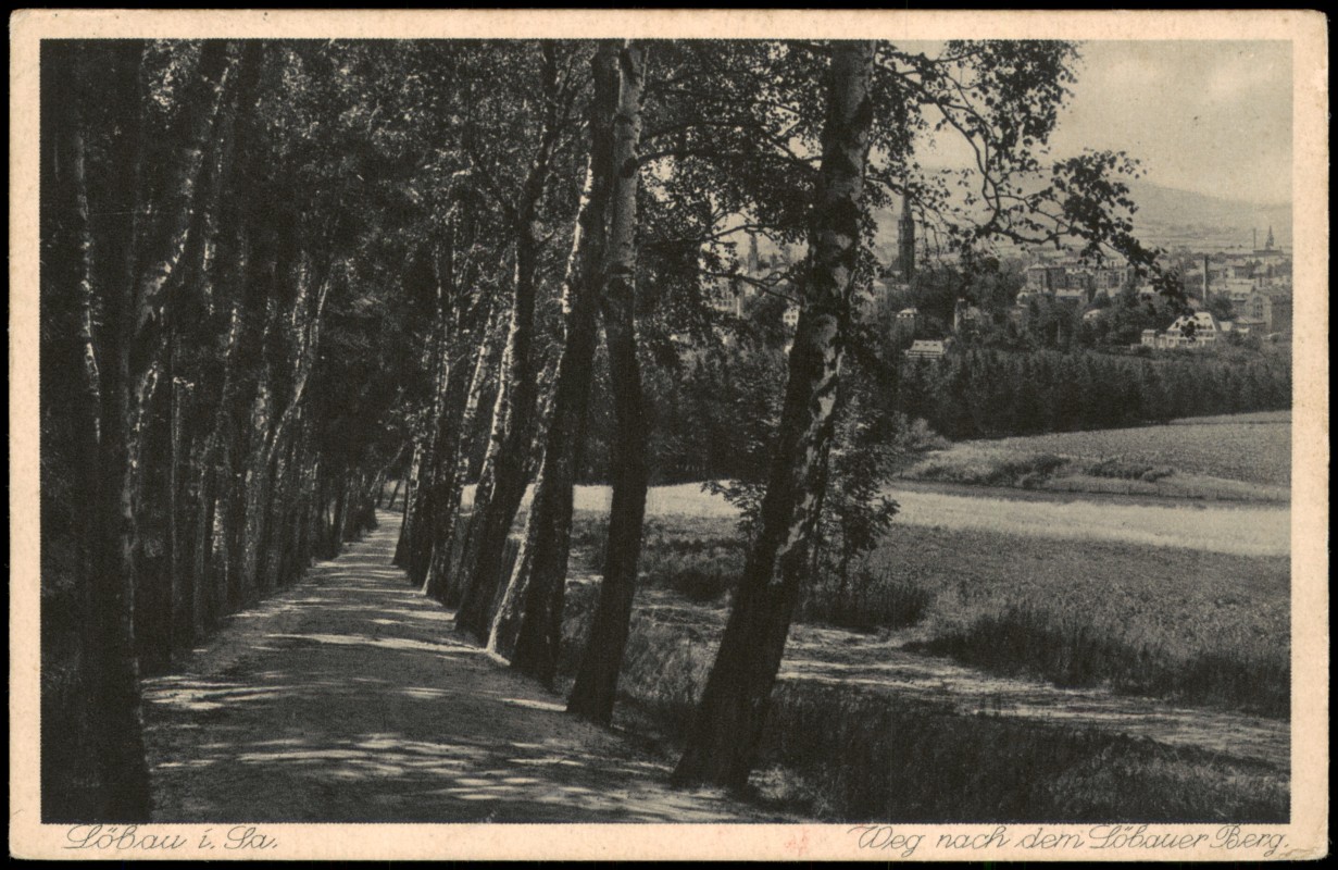 zoom: Image side vintage Postcard from 1925: Umland-Ansicht Weg nach dem Löbauer Berg:: Löbau