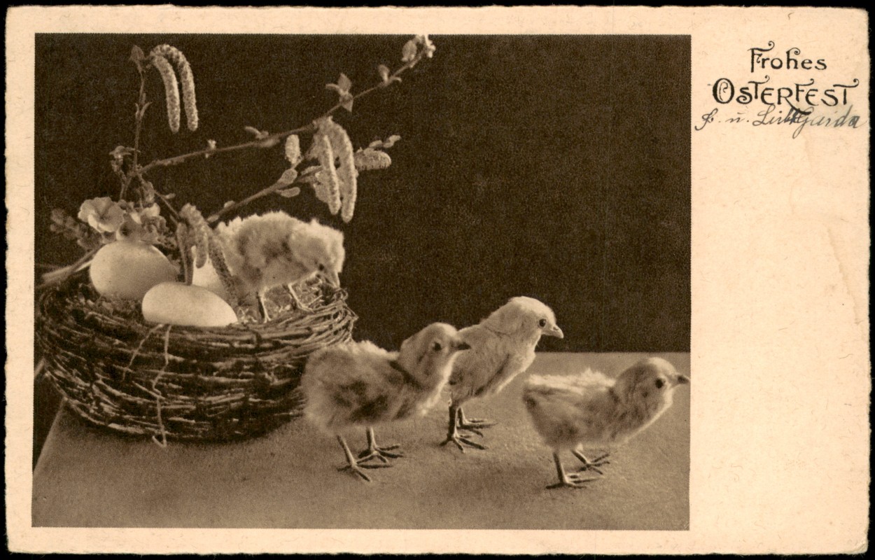 vergrößern: Bildseite historische Ansichtskarte von 1920: Ostern Easter Grusskarte Küken mit Ostereier-Nest::