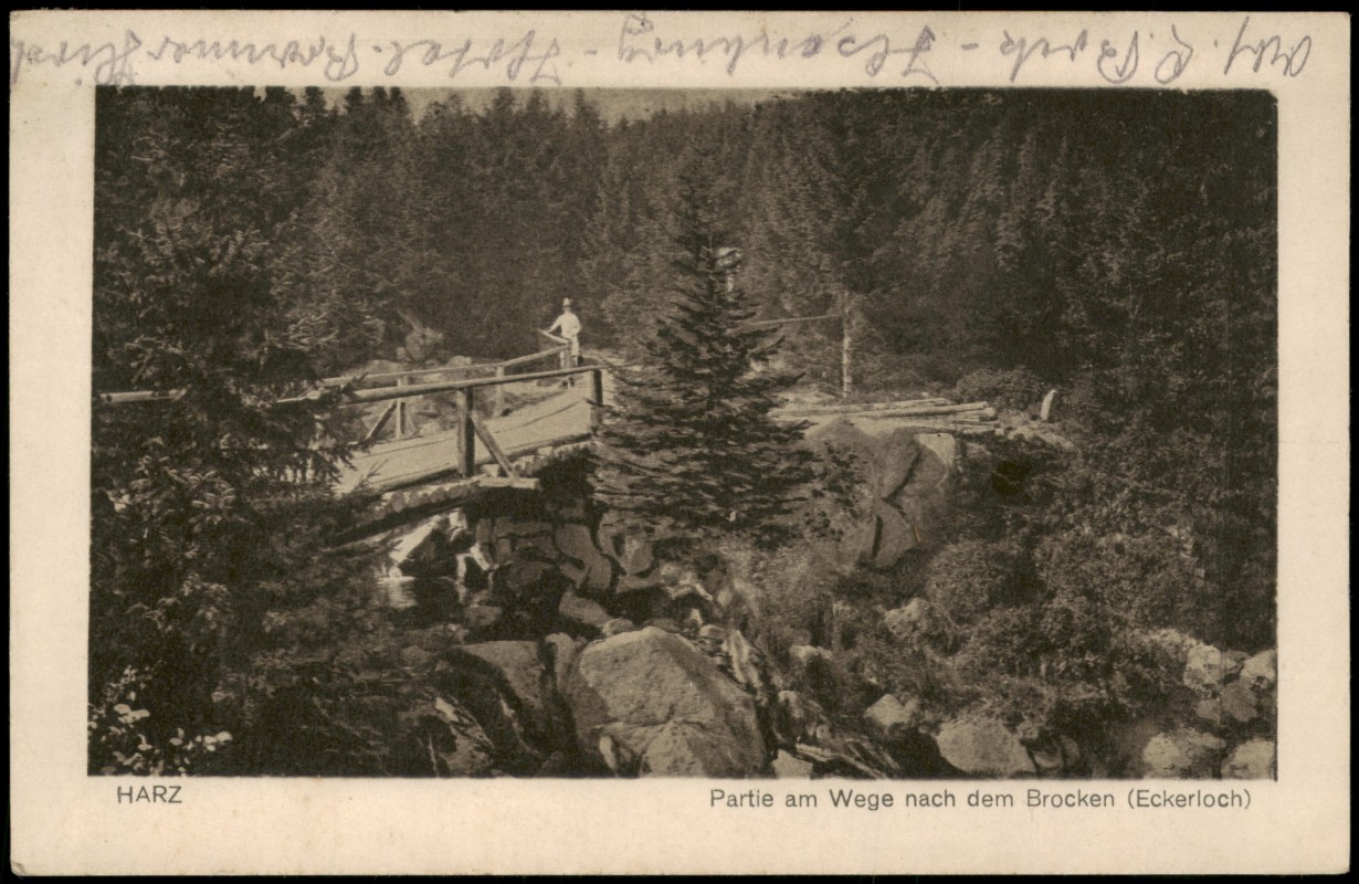 vergrößern: Bildseite historische Ansichtskarte von 1930: Partie am Wege nach dem Brocken Eckerloch:: Ilsenburg (Harz)