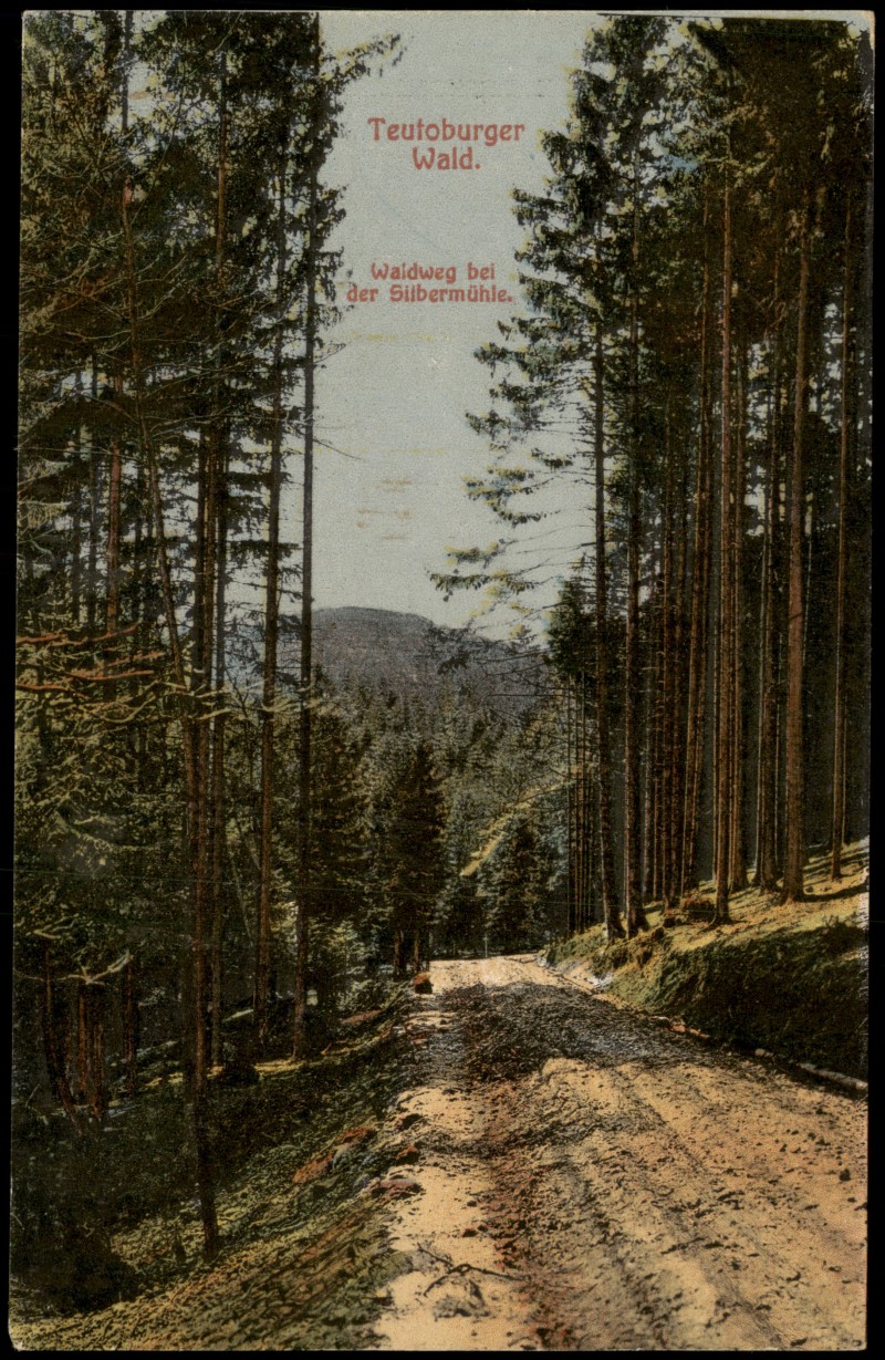 vergrößern: Bildseite historische Ansichtskarte von 1910: Teutoburger Wald Waldweg bei der Silbermühle:: .Nordrhein-Westfalen