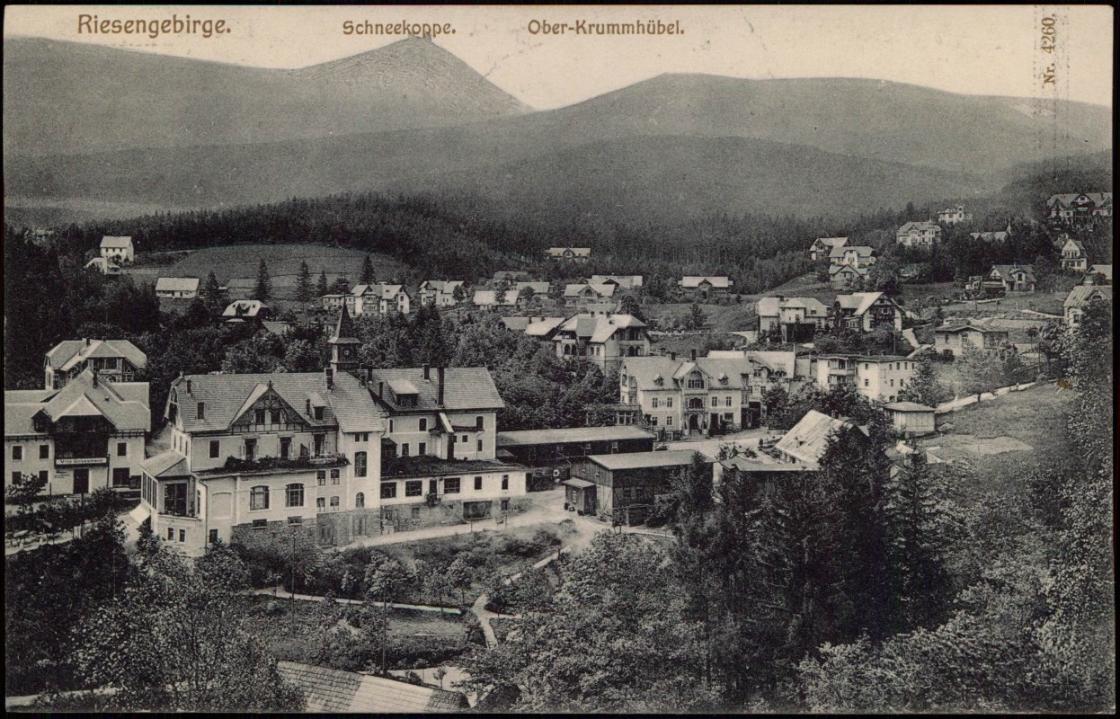 vergrößern: Bildseite historische Ansichtskarte von 1908: Stadtpartie mit Schneekoppe:: Krummhübel