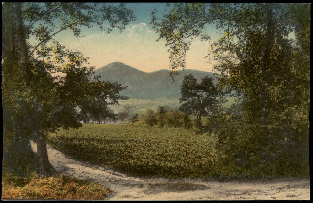 zoom: Image side vintage Postcard from 1912: Blick auf Lobosch und Kibitschken.:: Lovosice