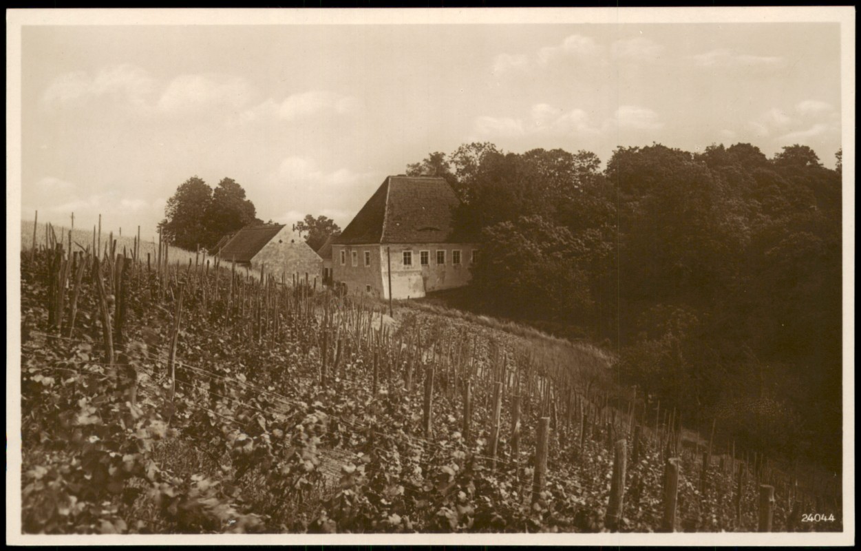 zoom: Image side vintage Postcard from 1927: Alte deutsche Bosel - Weinberg:: Spaar-Meissen