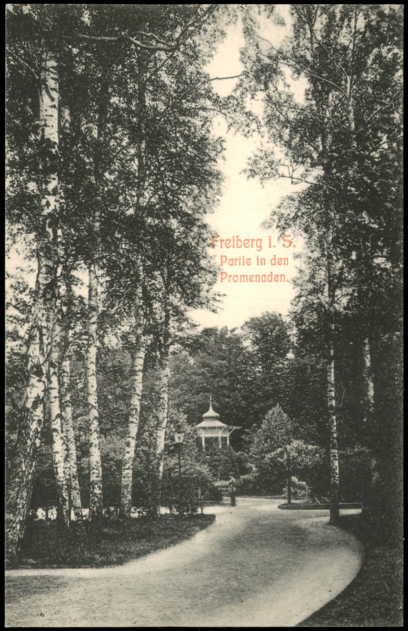 zoom: Image side vintage Postcard from 1908: Promenaden. Birken und Pavillon:: Freiberg (Sachsen)