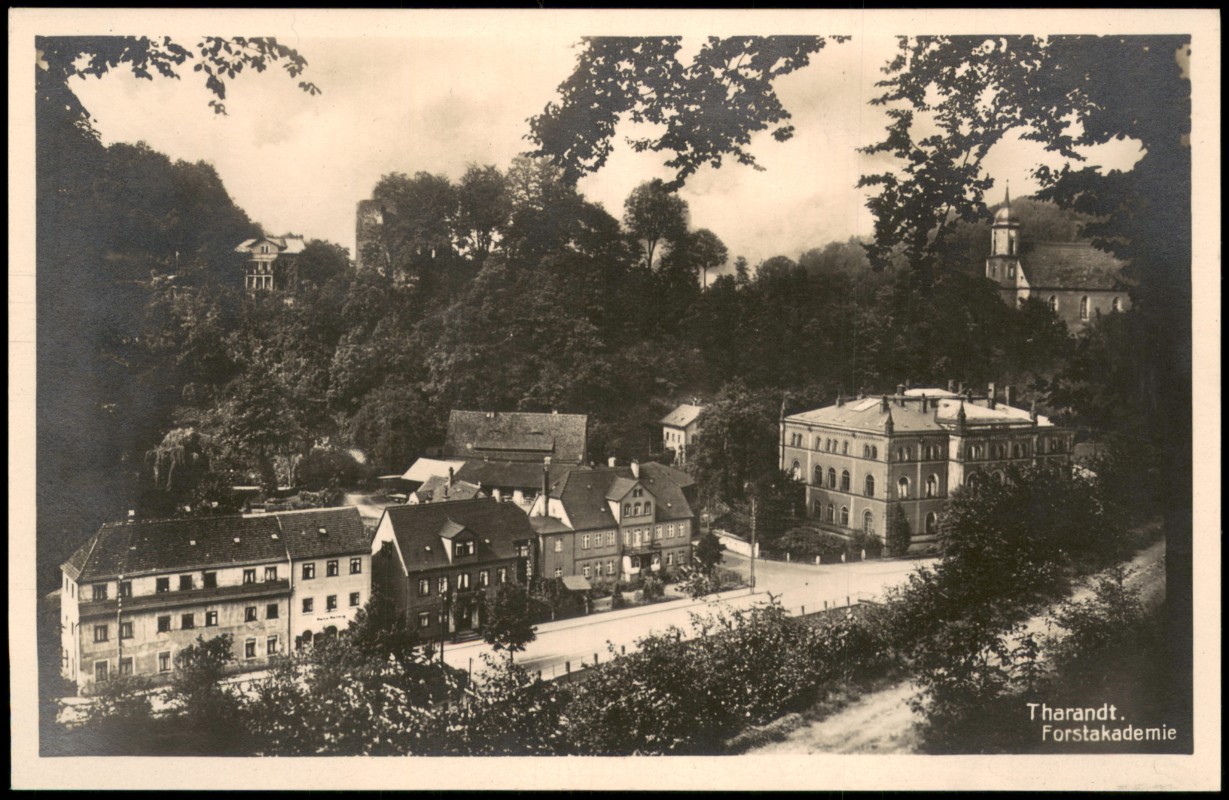 zoom: Image side vintage Postcard from 1929: Forstakademie Straßenpartie:: Tharandt