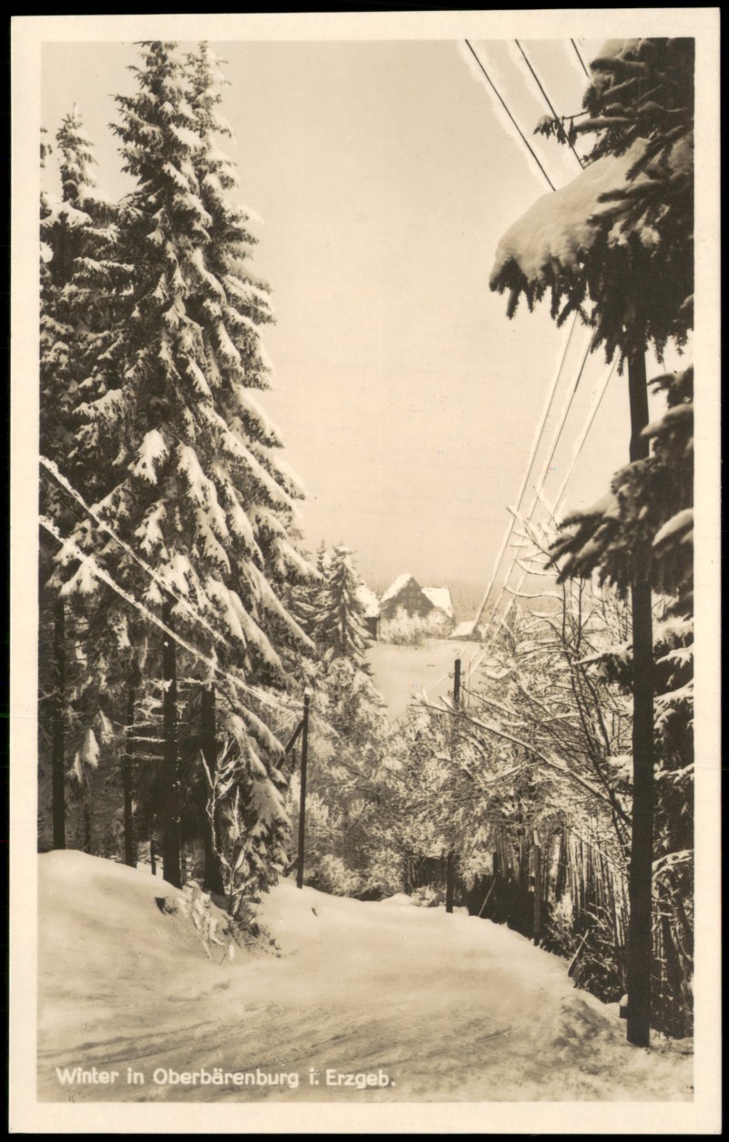 vergrößern: Bildseite historische Ansichtskarte von 1928: Waldweg zur Stadt im Winter:: Oberbärenburg-Bärenburg-Altenberg (Erzgebirge)