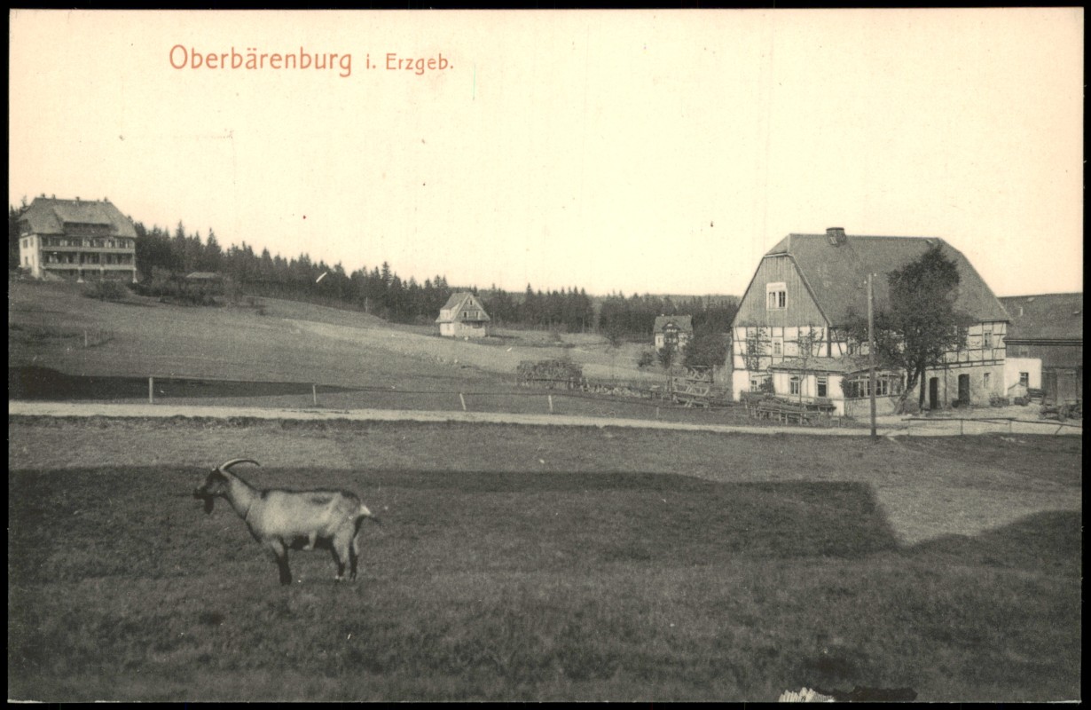 vergrößern: Bildseite historische Ansichtskarte von 1912: Ortspartie - Ziege:: Oberbärenburg-Bärenburg-Altenberg (Erzgebirge)