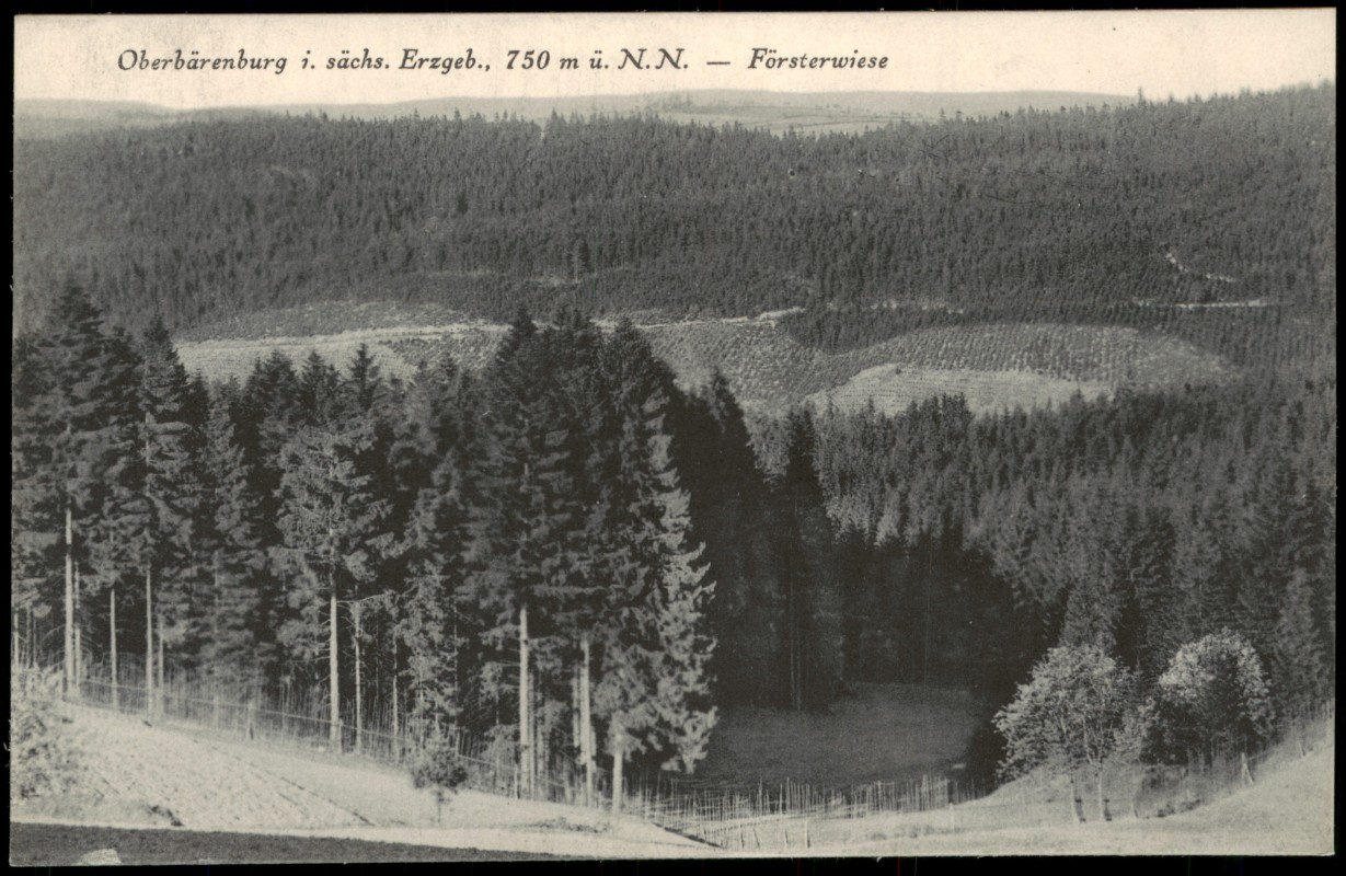 zoom: Image side vintage Postcard from 1935: Försterwiese:: Oberbärenburg-Bärenburg-Altenberg (Saxony)