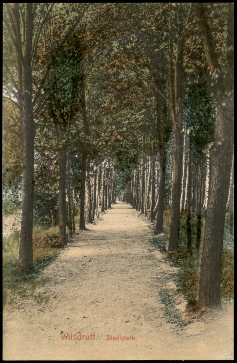 zoom: Image side vintage Postcard from 1912: Allee im Stadtpark:: Wilsdruff