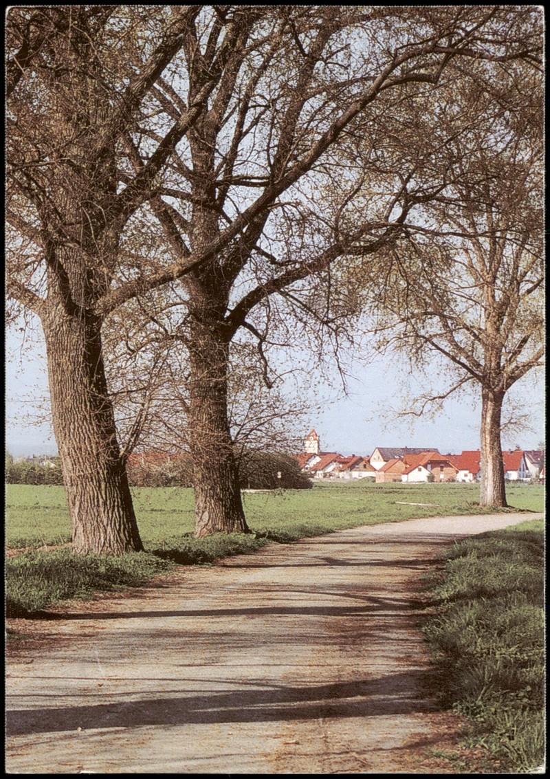 vergrößern: Bildseite historische Ansichtskarte von 1990: Fernansicht Tegernheim:: Tegernheim