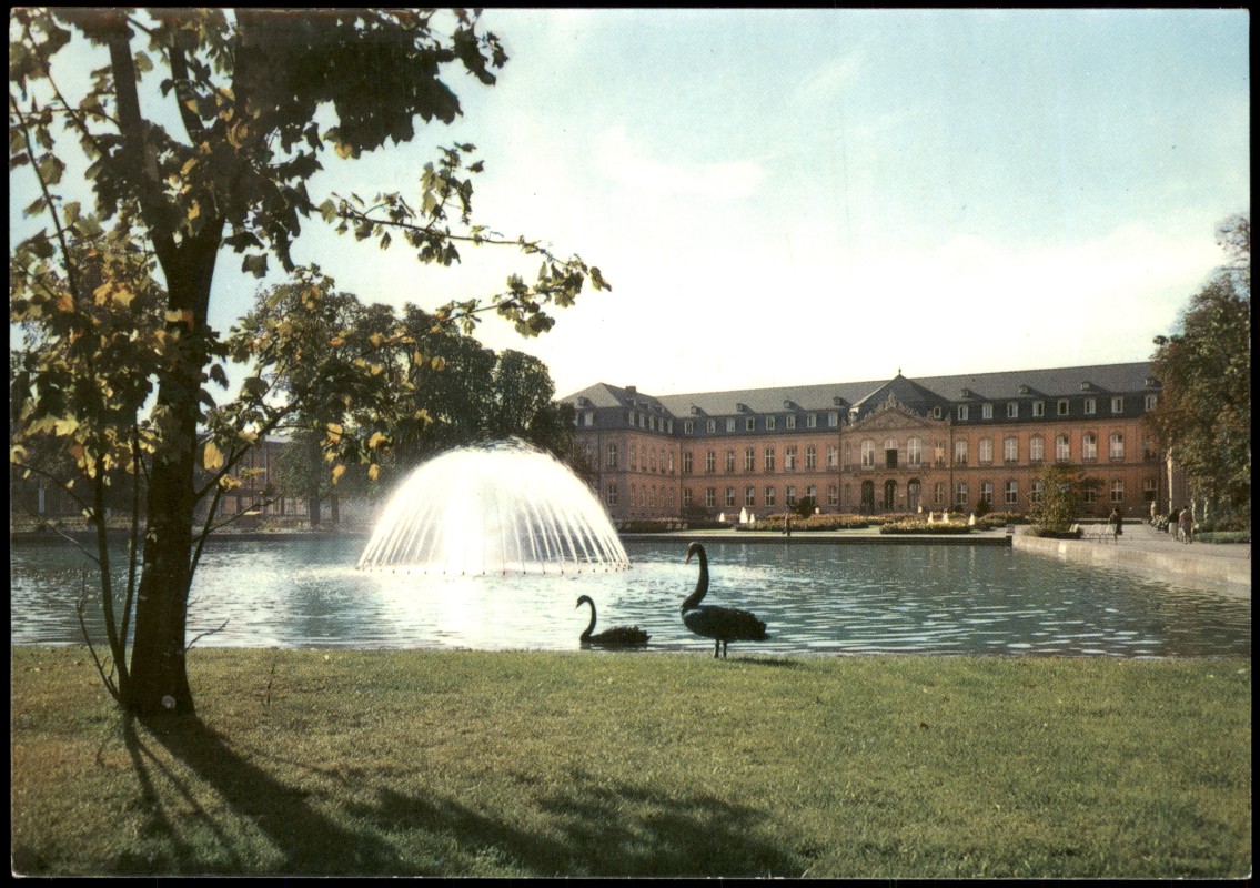 vergrößern: Bildseite historische Ansichtskarte von 1965: Wasserspiele vor dem Neuen Schloss, Schwäne:: Stuttgart