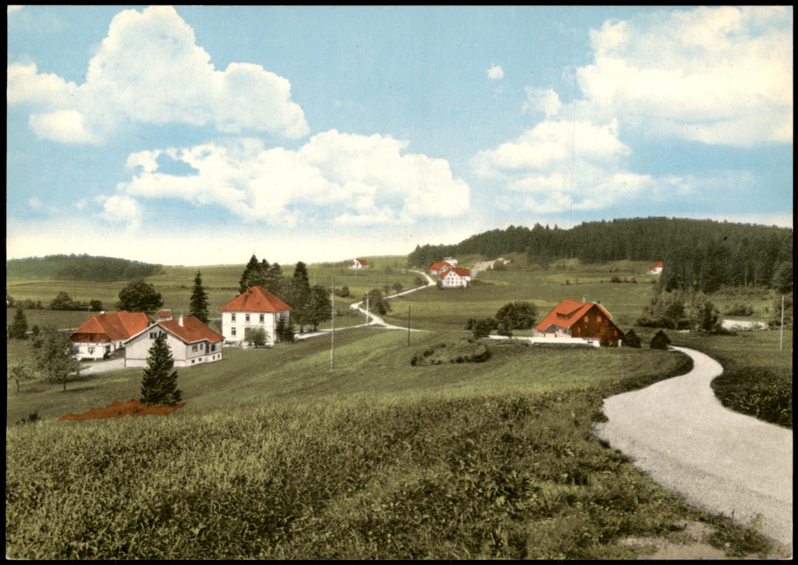 vergrößern: Bildseite historische Ansichtskarte von 1960: Panorama Blick auf DACHSBERG-FRÖHND (Schwarzwald):: Dachsberg (Südschwarzwald)