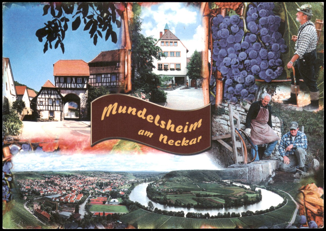 zoom: Image side vintage Postcard from 1998: Mundelsheim am Neckar Stadtansichten Neckarschleife Großbottwarer Tor historische Rathaus:: Mundelsheim
