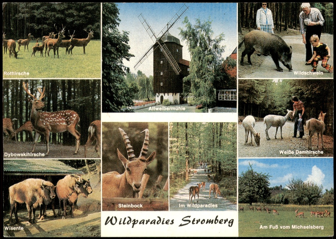 zoom: Image side vintage Postcard from 1975: MB Wildparadies Stromberg u.a. Wisente, Wildschwein, Altweibermühle:: Cleebronn
