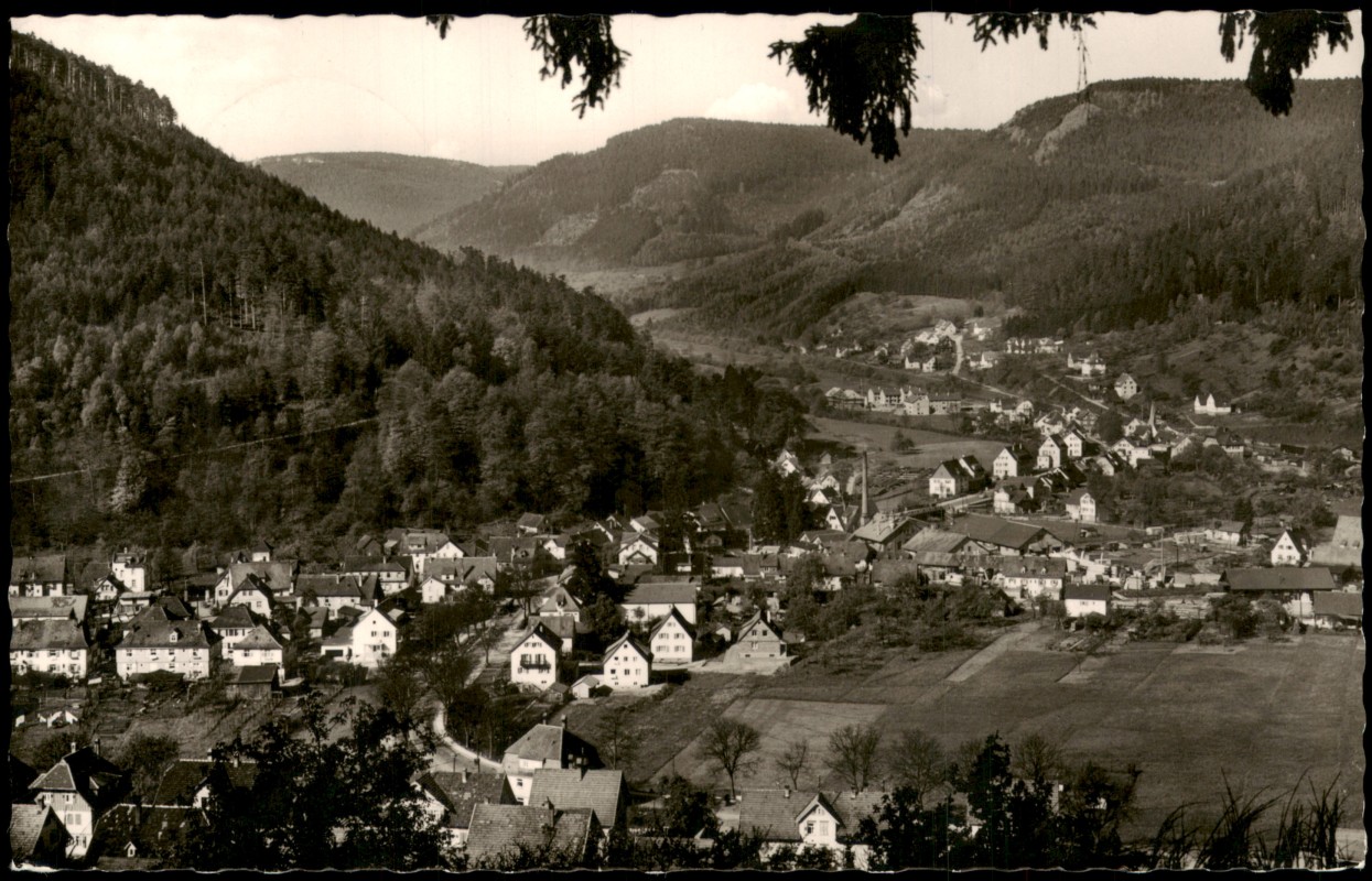 vergrößern: Bildseite historische Ansichtskarte von 1960: Panorama Ansicht vom Ort:: Calmbach-Bad Wildbad