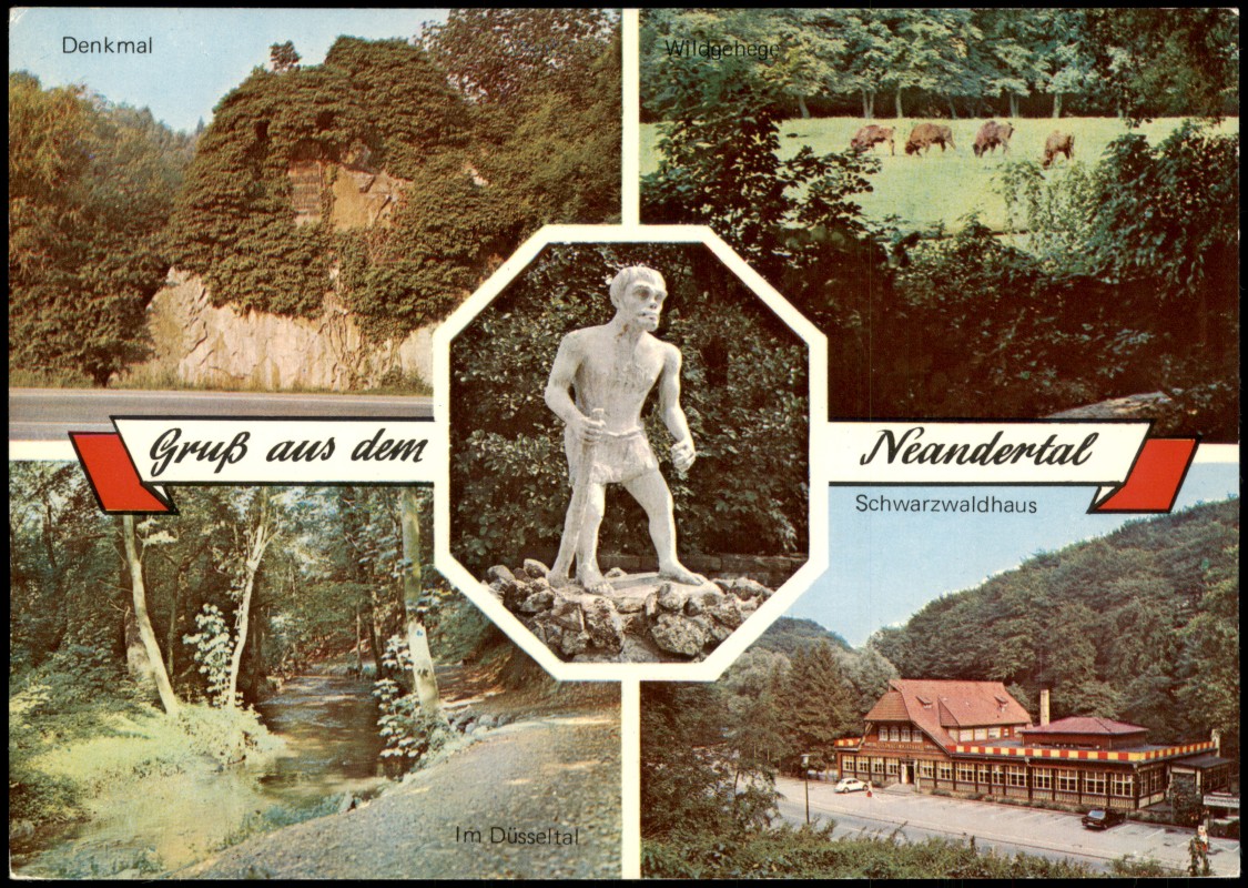 vergrößern: Bildseite historische Ansichtskarte von 1985: Mehrbildkarte, Denkmal, Schwarzwaldhaus, Neandertaler:: Mettmann