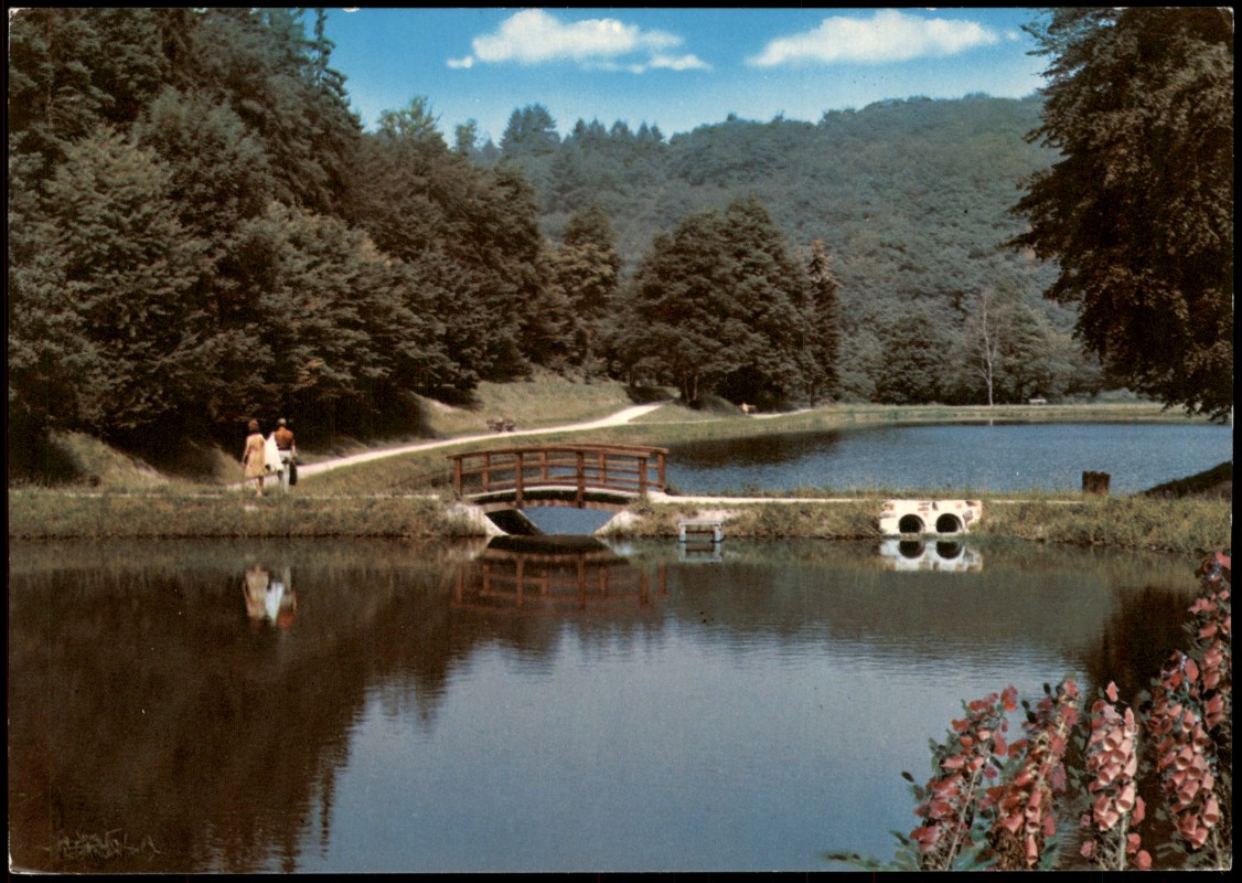 vergrößern: Bildseite historische Ansichtskarte von 1985: Panorama-Ansicht, Waldsee bei Bad Schwalbach:: Bad Schwalbach