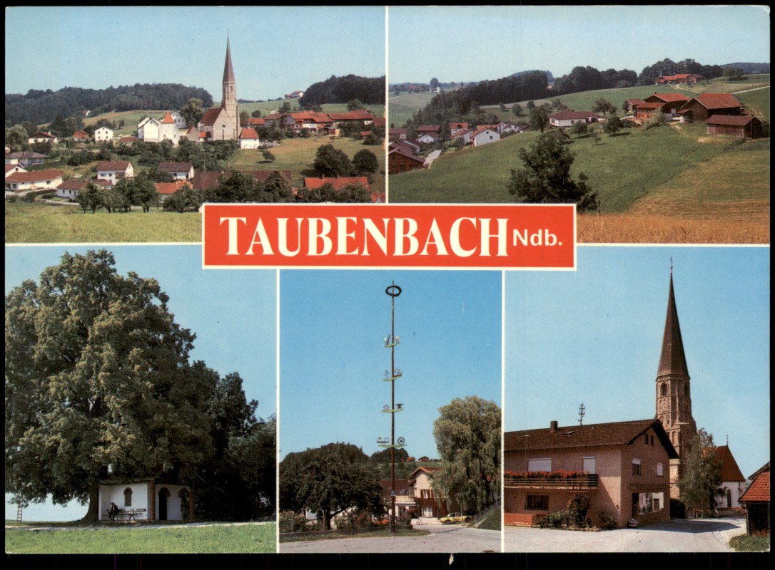 vergrößern: Bildseite historische Ansichtskarte von 1978: MB Stadt Straße Maibaum:: Taubenbach Niederbayern-Reut LK Rottal-Inn