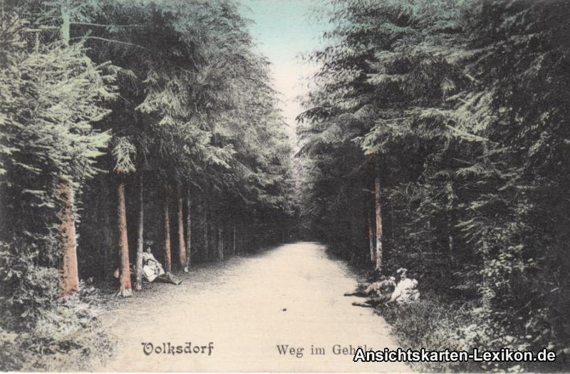 vergrößern: Bildseite historische Ansichtskarte von 1907: Weg im Gehölz:: Volksdorf-Hamburg