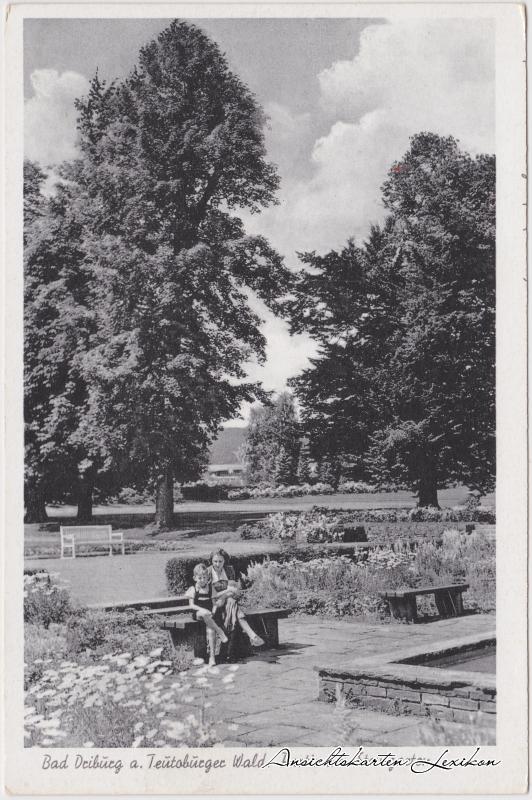 vintage Postcard from 1953: Partie am Steingarten:: Bad Driburg