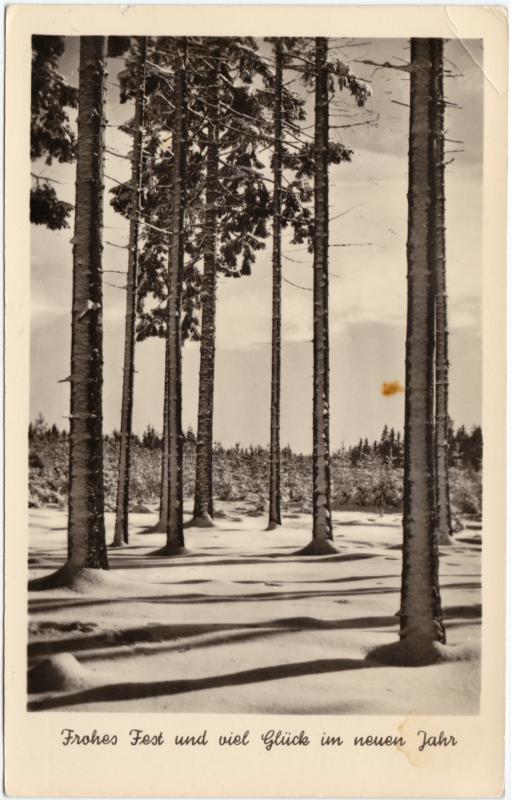 vintage Postcard from 1956: Frohes Fest und viel Glück im neuen Jahr - Schneebedeckter Wald:: 