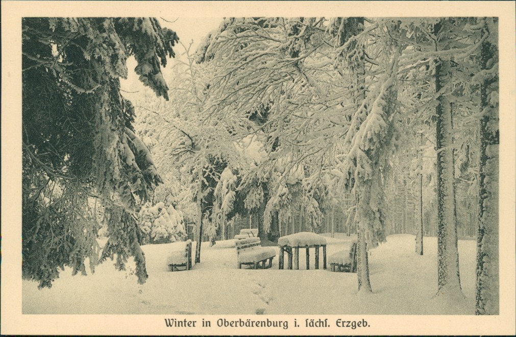 vintage Postcard from 1914: Winterlandschaft, Rastplatz im Wald:: Oberbärenburg-Bärenburg-Altenberg (Saxony)