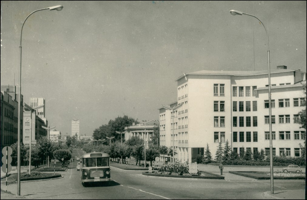 vintage Postcard from 1960: Bus auf Straßenallee, Gebäude:: Novi Sad