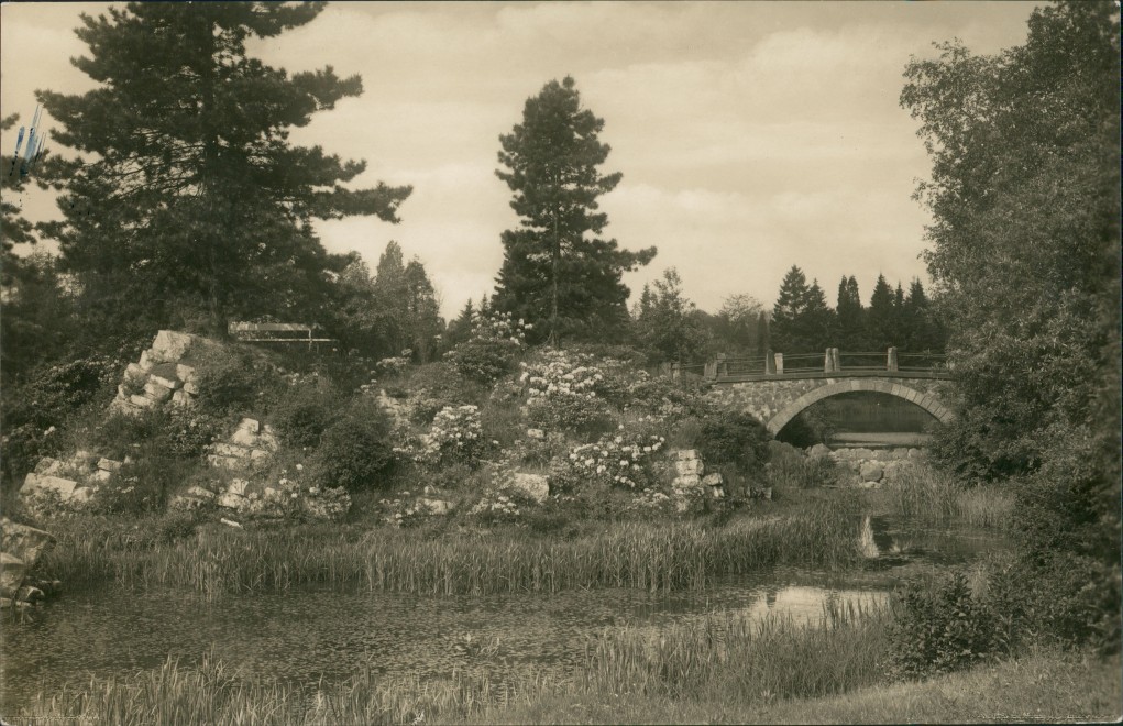 Botanischer Garten, Brücke :: Dahlem-Berlin ...