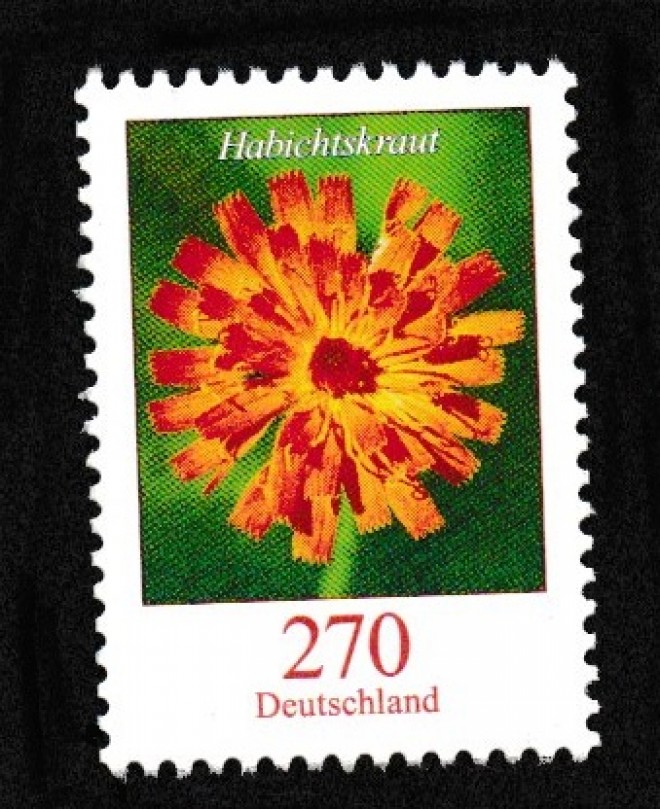 vintage Postcard from 2019: 270 Cent Deutsche Post Habichtskraut naßklebend:: 