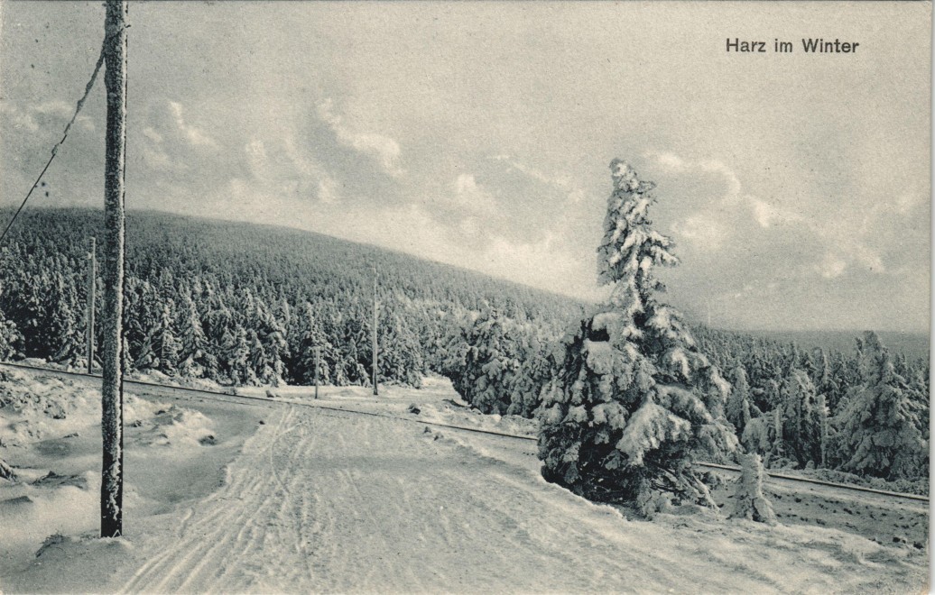 vintage Postcard from 1911: Harz im Winter Schnee/Eis Stimmungsbild:: 