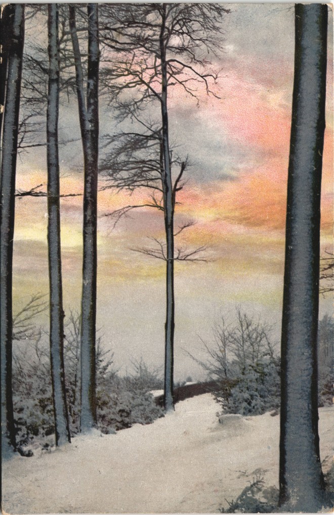 vintage Postcard from 1910: Winter (Schnee/Eis) Stimmungsbild Wald-Lichtung Photochromiekarte:: 