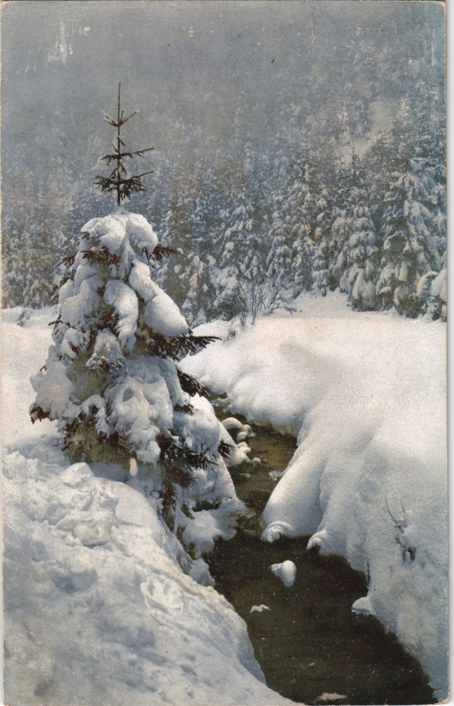 vintage Postcard from 1910: Stimmungsbild Winter Tanne Fluss - Photochromie:: 