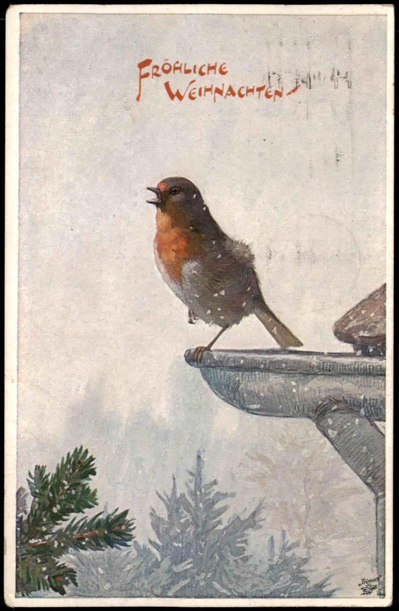 vintage Postcard from 1921: Weihnachten Christmas, Vogel-Serie "Gefiederte Freunde":: 