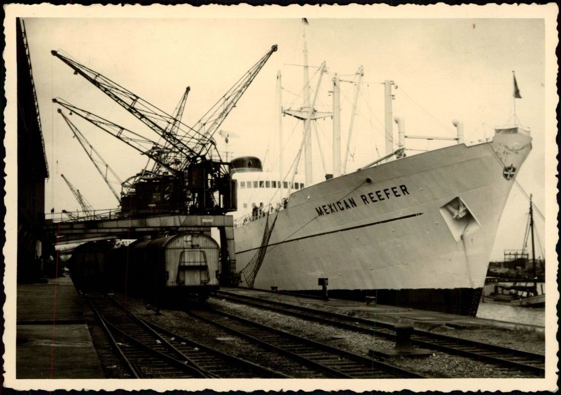 Schiff Ship American Export Line New "4 Aces" Postkarte Vintage Postcard ~1940 