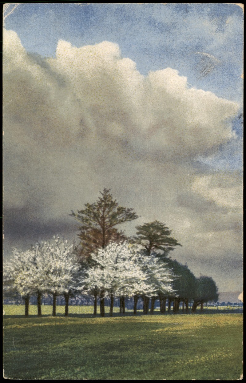 vintage Postcard from 1918: Stimmungsbild Natur & Landschaft (Photochromie Serien-AK):: 