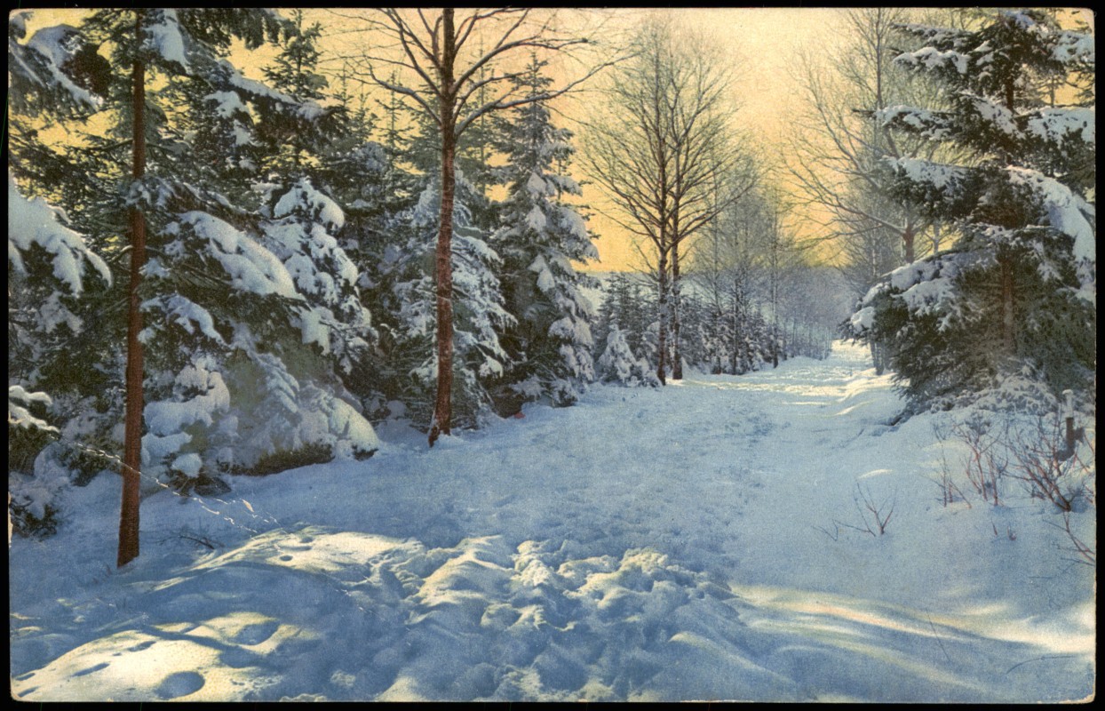 vintage Postcard from 1916: Winter-Ansichtskarte (Schnee/Eis) Stimmungsbild Photochromie Serien-AK:: 