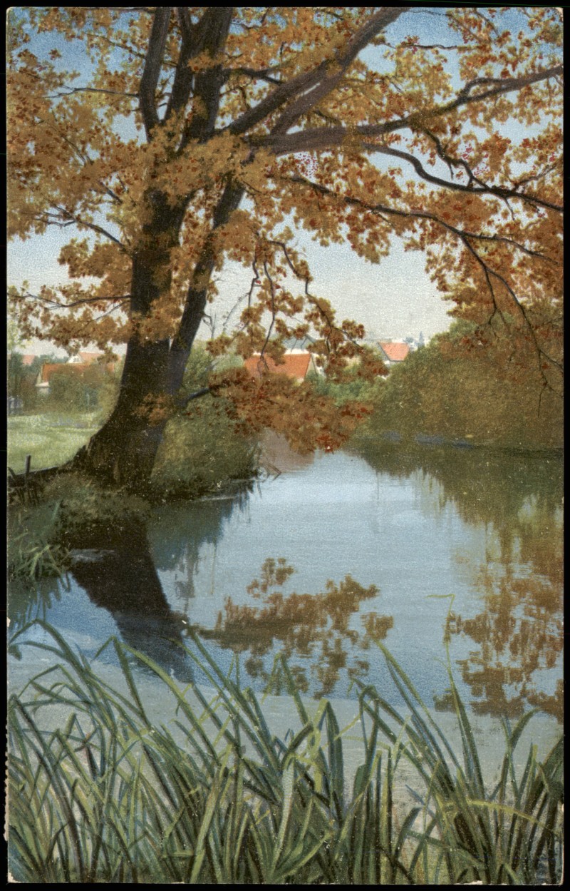 vintage Postcard from 1908: Stimmungsbild Natur & Landschaft, Partie am Fluss/Teich:: 