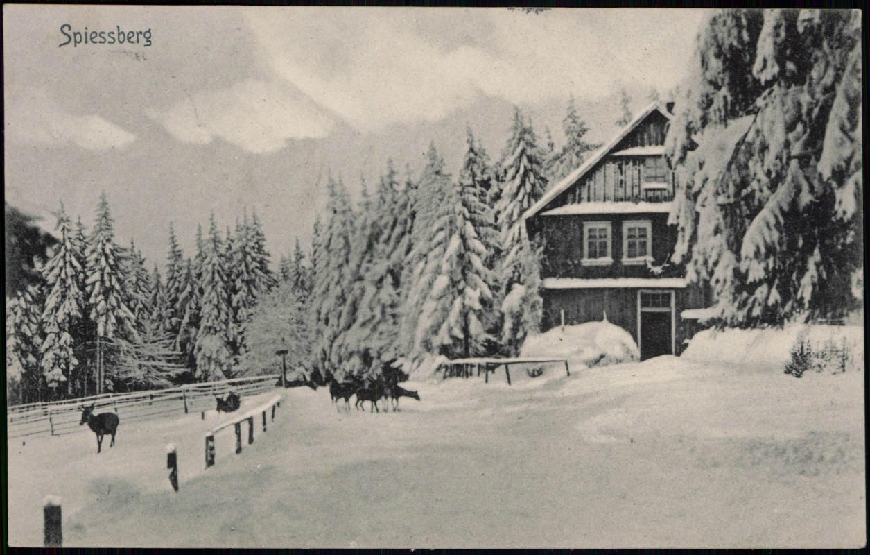 vintage Postcard from 1909: Spiessberg-Hotel im Winter Rehe:: 