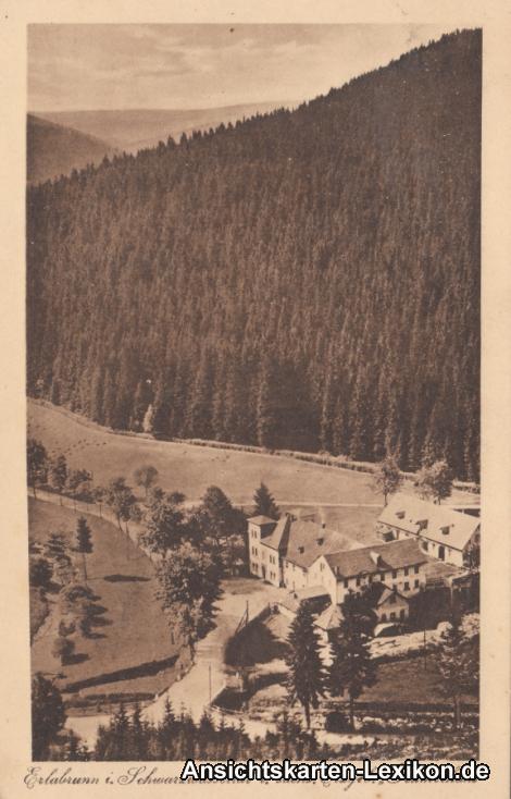 vintage Postcard from 1920: Täumerhaus:: Erlabrunn-Breitenbrunn (Erzgebirge)