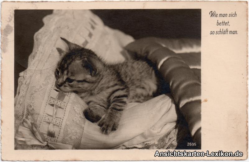 vintage Postcard from 1940: Wie man sich bettet, so schläft man:: 