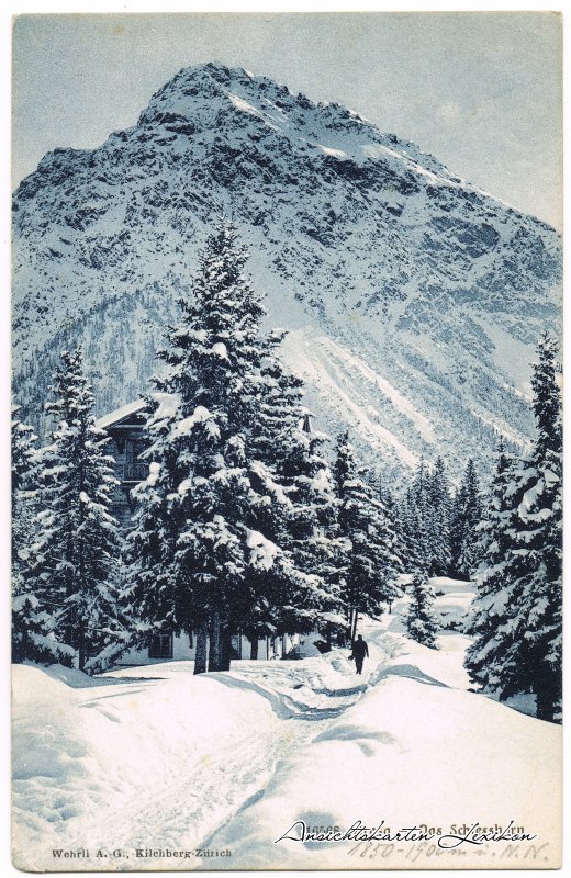 vintage Postcard from 1907: Winterpartie am Schiesshorn:: Arosa