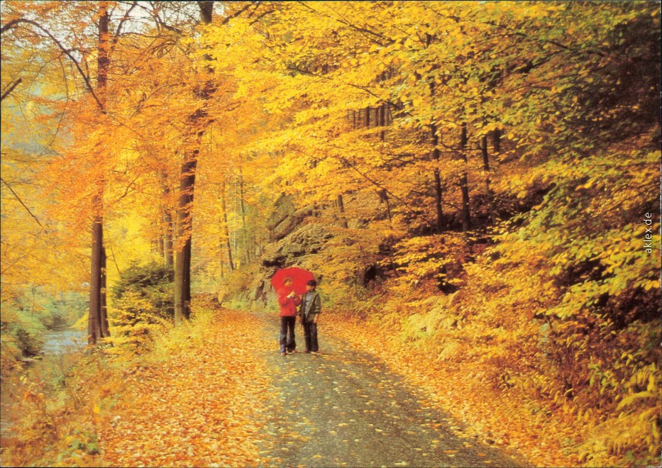 vintage Postcard from 1982: Stimmungsbild: Herbst, Menschen mit rotem Regenschirm:: 